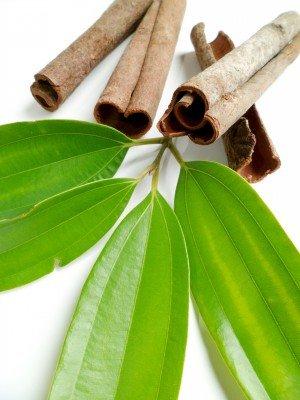 Naissance 100% pure steam distilled Cinnamon Leaf Essential Oil