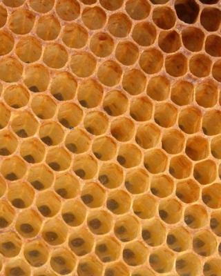  Organic Beeswax Bulk