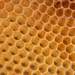 Beeswax Beads Organic White