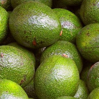 Avocado Organic Oil (No.231)