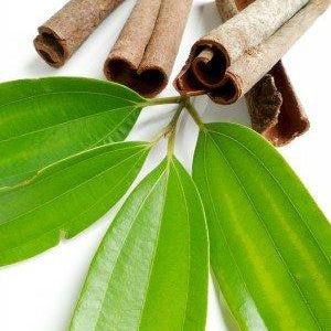 Cinnamon Leaf Essential Oil