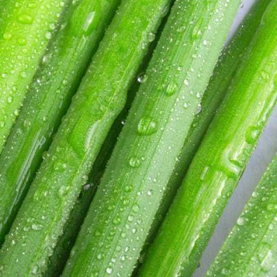 Citronella Essential Oil