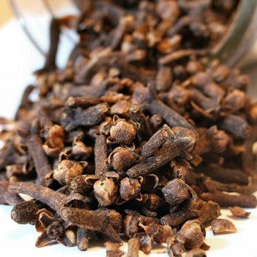 Clove Bud Essential Oil