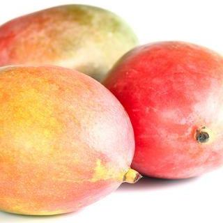 Mango Butter Refined