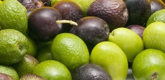 Naissance 100% plant derived Olive Squalane Oil
