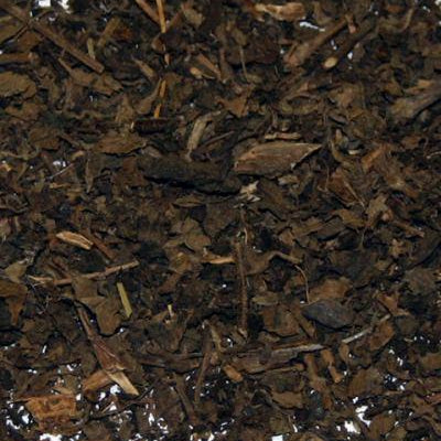 Patchouli Essential Oil