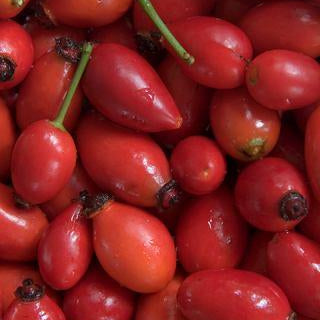 Rosehip Organic Oil